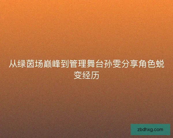 从绿茵场巅峰到管理舞台孙雯分享角色蜕变经历 从绿茵场巅峰到管理舞台孙雯分享角色蜕变经历
